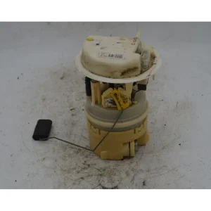 Solo Oggi Pompa Carburante Peugeot 206 Dal 1998 al 2012 Cod 0973200990304