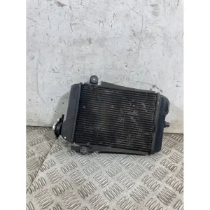 Consegna Rapida Radiatore Acqua Honda SH 300 Dal 2006 al 2010