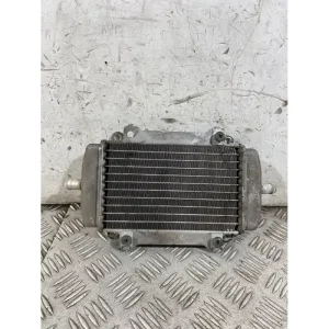 Vendita Finale Radiatore Acqua Piaggio Vespa GT 200 L Dal 2003 al 2006