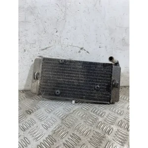 Popolare Radiatore Acqua Yamaha X-Max XMax 250 IE Dal 2010 al 2013