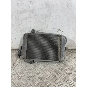 Esclusivo Radiatore Acqua Honda SH 300 Dal 2006 al 2010