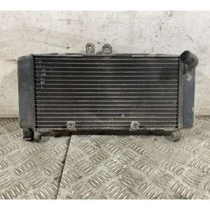 Radiatore Honda CB 900 F Hornet Dal 2002 al 2006 Ordina Subito
