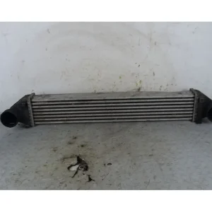 Ordina Subito Radiatore Intercooler Mercedes Classe A W169 Dal 2004 al 2012