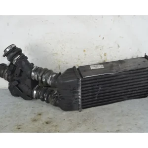 Radiatore Intercooler Peugeot 207 Dal 2006 al 2015 Cod 9651184880 Spedito Oggi
