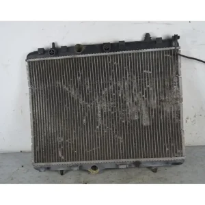 Radiatore Acqua Peugeot 207 Dal 2006 al 2015 Cod 873460200 Pagamento Sicuro