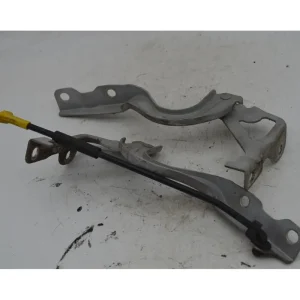 Prezzo Ridotto Cerniere Cofano Anteriore DX e SX Hyundai I10 Dal 2013 al 2017 Cod 79110B4000