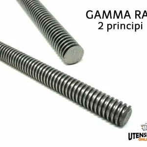 Vite senza fine trapezoidale da 12 a 40 gamma RAT 2 principi (1metro) Nuovo Arrivo
