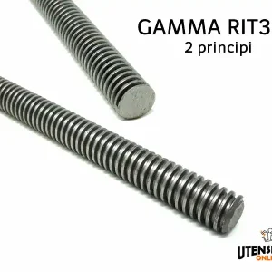 Vite senza fine 16x08 gamma RIT304 2 principi (1 metro) Nuova Collezione