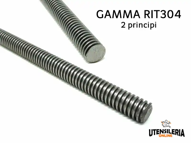 Vite senza fine 16x08 gamma RIT304 2 principi (1 metro) Nuova Collezione