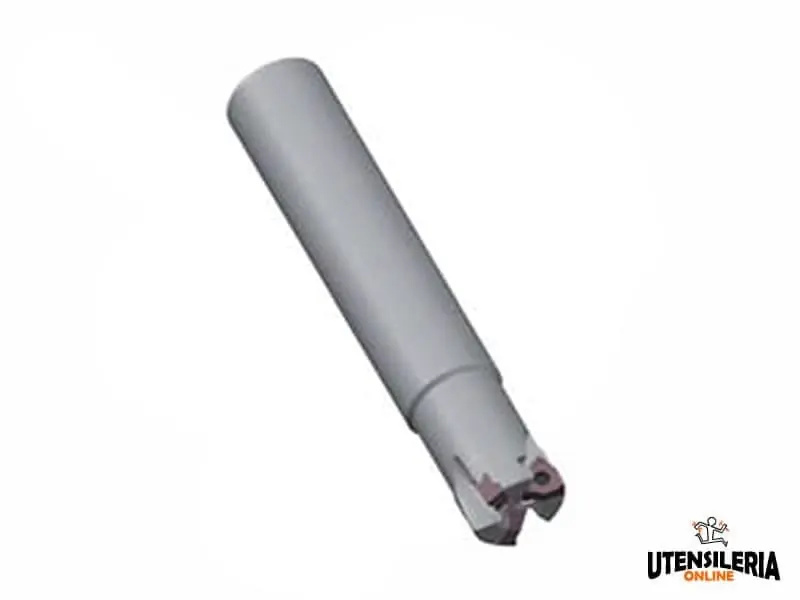 Must-Have Fresa cilindrica NT-WX04H Double3gon milling da 20 a 32mm