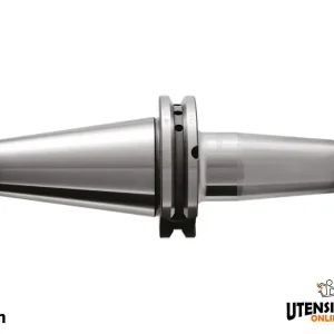 Acquista Ora Mandrini portautensili a calettamento per metallo duro AD+B d.5mm