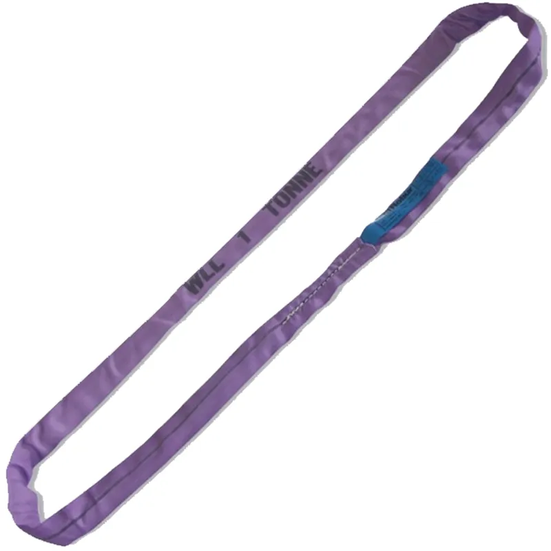 Fasce di Sollevamento ad Anello Continuo ROBUR BETA in Poliestere Brache Cinghie Imbracatura 1 TON Occasione
