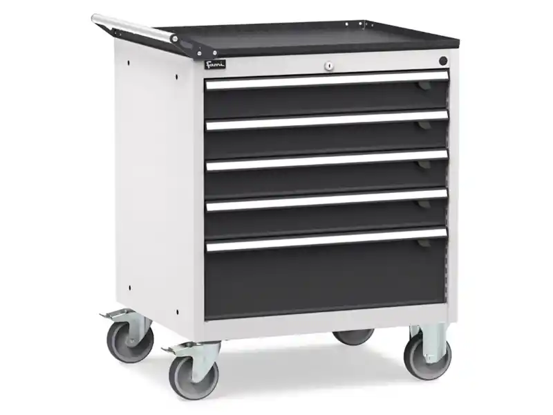 Soddisfatti O Rimborsati Cassettiera mobile Fami Flexa 794x600x853mm con 5 cassetti ad estrazione totale, 300Kg
