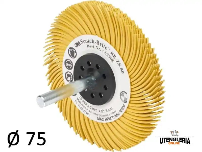 Popolare Spazzole radiali Bristle 3M Tipo C Marguerite Ø 75 mm grana 80 (6pz)