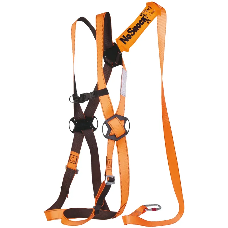 Kit Anticaduta Imbragatura di Sicurezza Protezione DELTA PLUS con Cinghie Bicolore e Borsa ELARA160V2 Spedizione Espresso