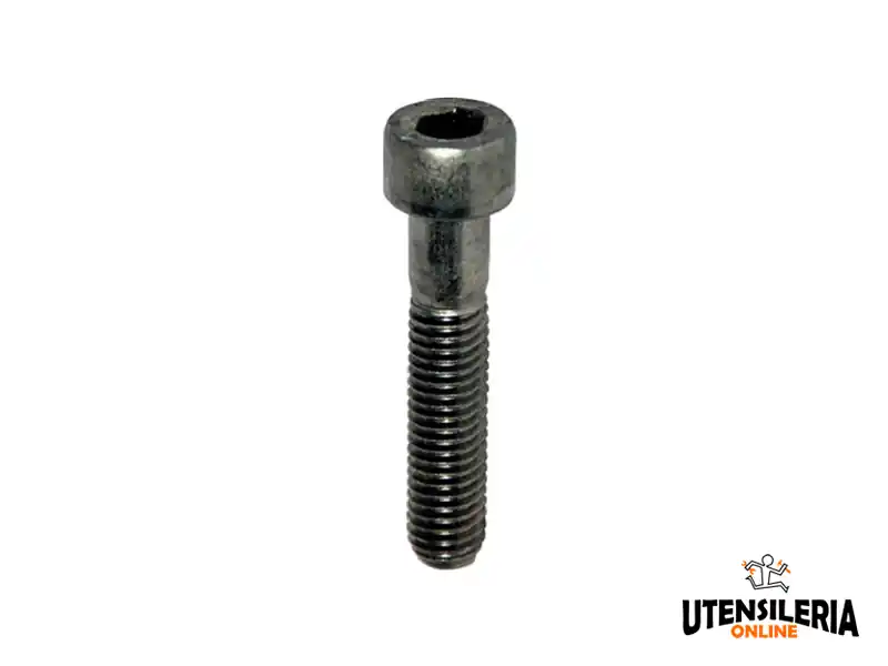 Offerta Limitata Vite testa cilindrica SW II M8x30 A2 per sistemi Solar Wind II (100pz)