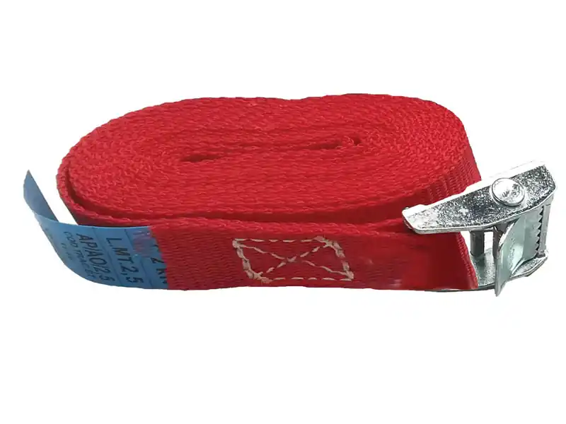 Offerta Lampo Cinghie di ancoraggio per carichi leggeri Strops 2,5mt x 25mm con fibbia autobloccante(10pz)