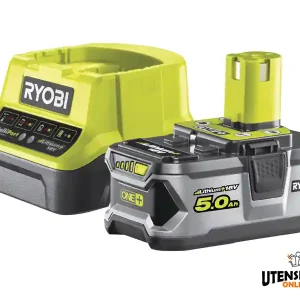 Set batteria da 5 Ah 18V e caricabatteria Ryobi in scatola di cartone Scelto Dai Clienti
