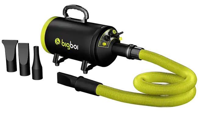 BigBoi BlowR Mini Di Tendenza