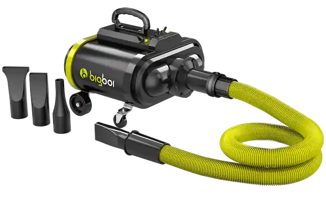 Miglior Prezzo BigBoi BlowR Pro MKII