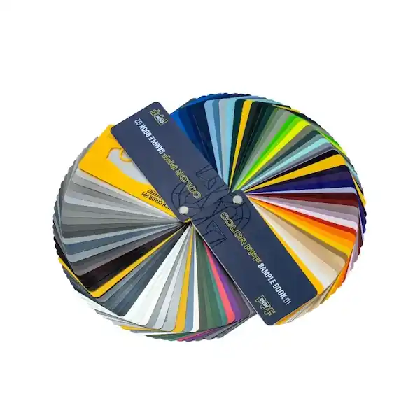 Gyeon PPF Color Book Scelto Dai Clienti