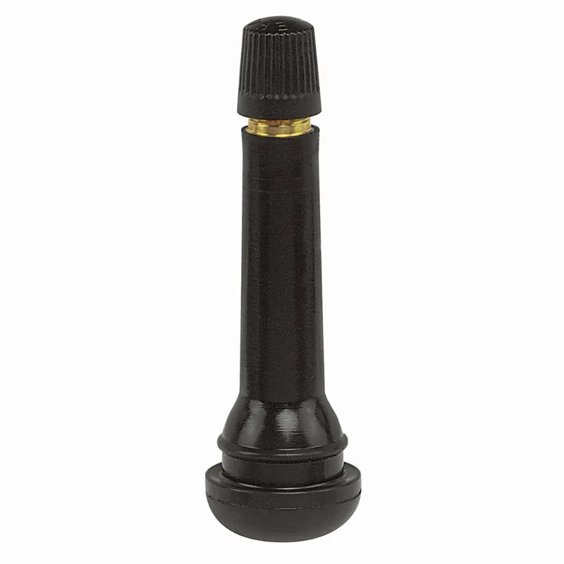 Promo Stagionale Valvola per pneumatici TR 418